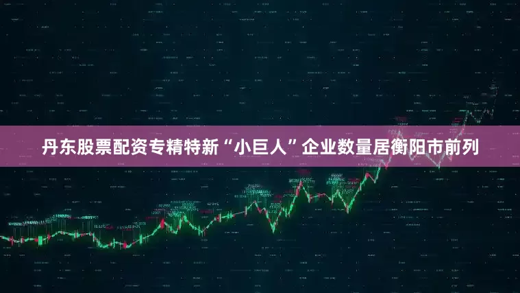 丹东股票配资专精特新“小巨人”企业数量居衡阳市前列